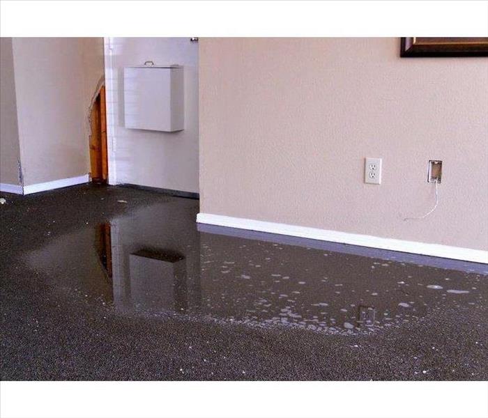Water damage carpet cleaning, with a puddle of water. 