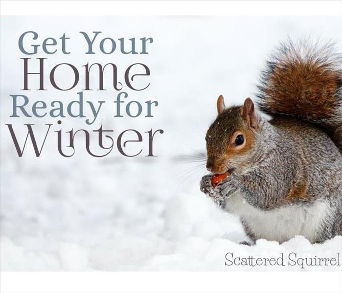 A squirrel getting ready for winter. 